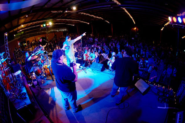 Julian Simonelli - Bassist